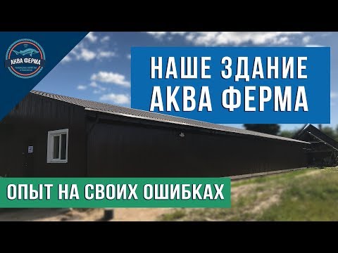 Видео: Наше здание Акваферма