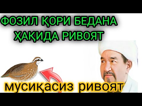 Видео: ФОЗИЛ ҚОРИ  ҲАҚИДА РИВОЯТ/bedana haqida rivoyat/bedana haqida hikoya