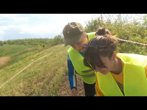 Видео: ZM TRACER 300 2t. Первая гонка, Ну, погоди, серебро. 8 часть.