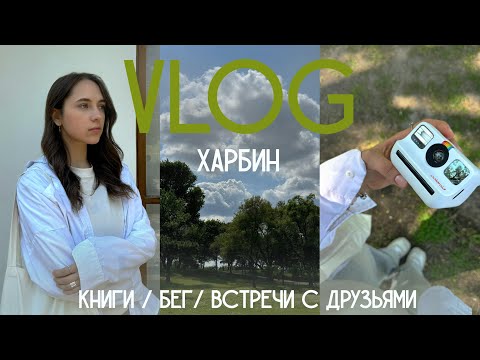 Видео: 39 VLOG: несколько дней из жизни в Харбине