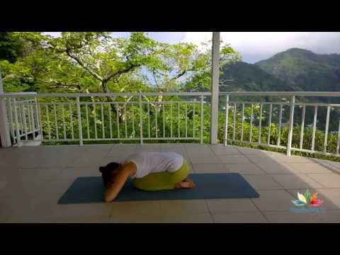 Видео: Упражнение «Кошка сидя»!