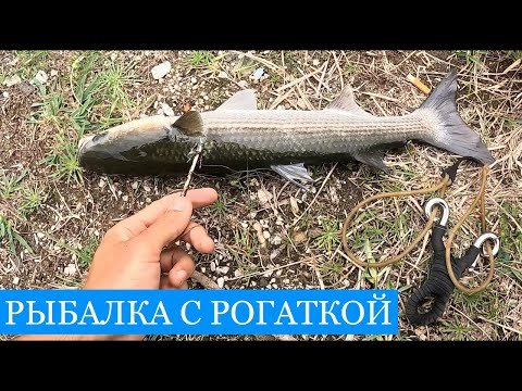 Видео: Рыбалка с РОГАТКОЙ! Десятиместный САП и хвостокол на углях - СПЕЦВЫПУСК из отпуска!