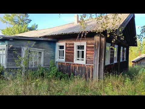 Видео: Где хозяева? Что случилось?