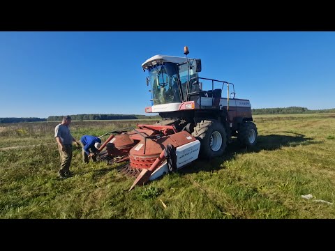 Видео: Начало уборки КУКУРУЗЫ. небольшие поломки нам не помеха! За Русь