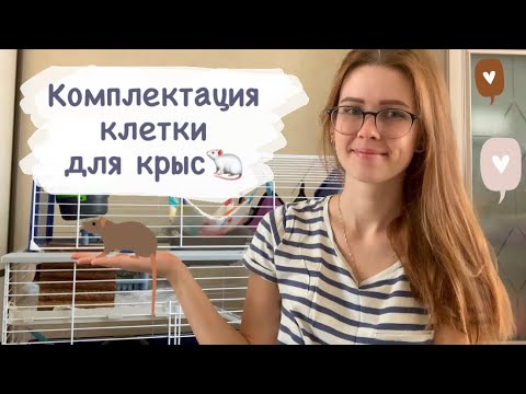 Видео: Что должно быть в клетке у крыс? Комплектация клетки для крыс🐀 Мои домики для крыс, гамаки для крыс