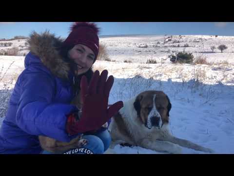 Видео: Цеци (Tsetsi) & Жельомир в Ранчо Ел Пасо!