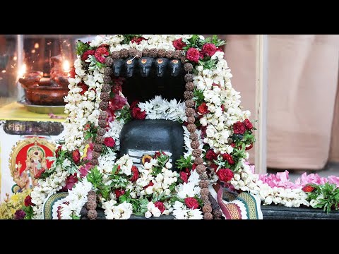 Видео: Аруначала 2. Мауна Баба в Тируваннамалае.