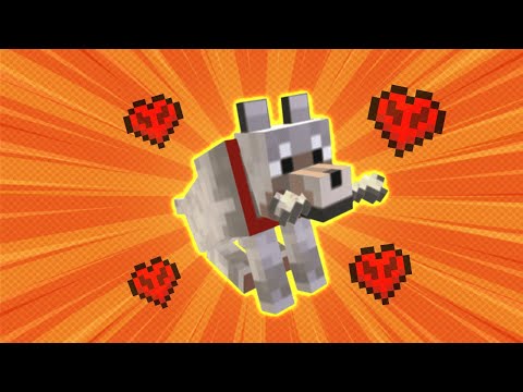 Видео: енді менің досым бар 💖