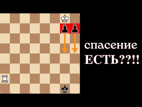 Видео: Двигаешь не ту пешку — проигрываешь! Есть ли шанс на спасение?