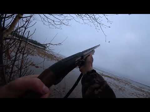 Видео: Ямал.Закрытие охоты на Гуся и Утку 2023 г.