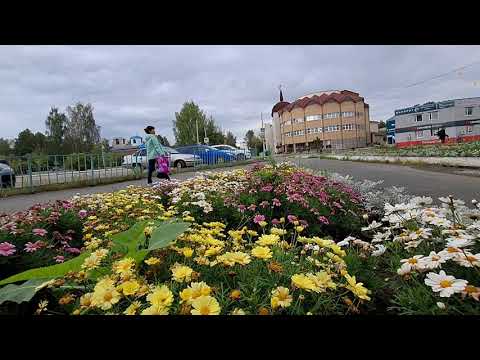 Видео: Сентябрь открывает новые двери
