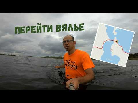 Видео: Переходим озеро Вялье вброд! Познавая Мшинское болото.