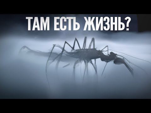 Видео: Следы Больших Миров: НАСА объявит о нахождении инопланетных сигналов и признак жизни, что тогда?