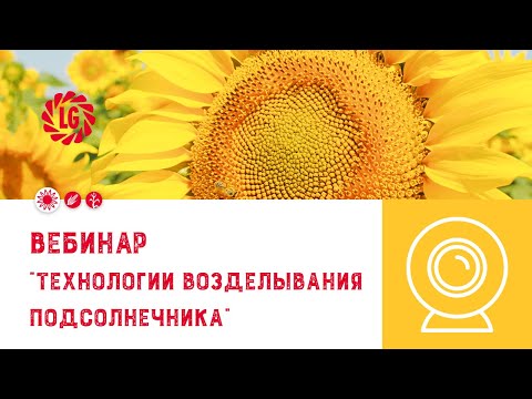 Видео: Вебинар по особенностям технологии возделывания подсолнечника / Новинки в портфолио Лимагрен