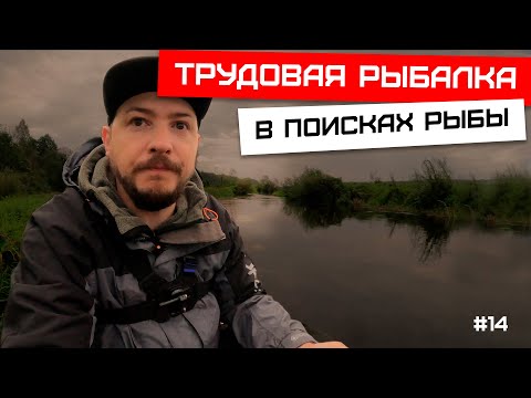 Видео: В поисках рыбы на реке Луга, поймал Язя