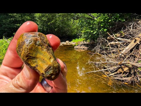 Видео: Я уже много лет не охотился здесь за агатами... Стоило ли оно того?!