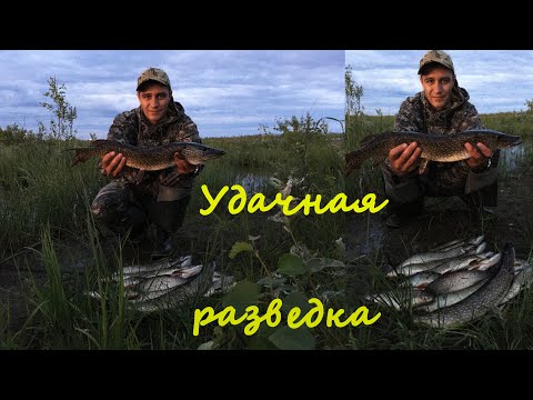 Видео: При каждом забросе приманки на крючок попадается хищная щука.  Расширенная версия. Рыбалка.