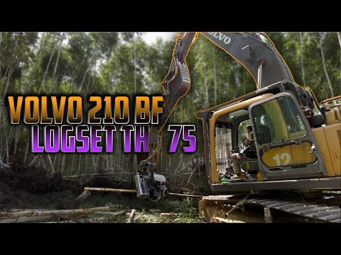 Видео: Запуск VOLVO 210/LOGSET TH75 | #лесозаготовка #харвестер #volvo #logset