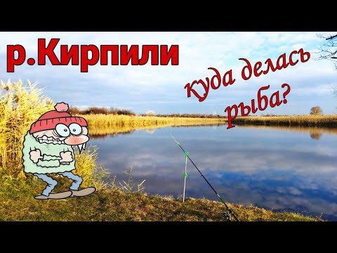 Видео: р.Кирпили , х.Калинина рыбалка в ноябре