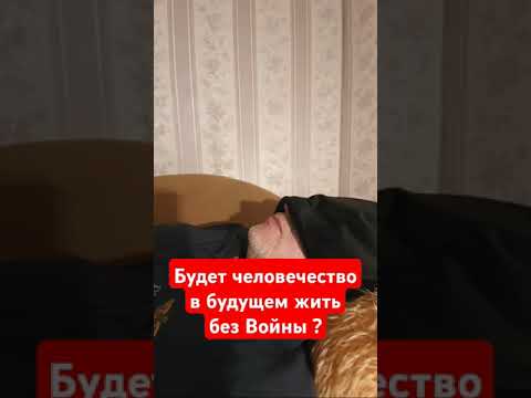 Видео: 10 октября 2024 г.