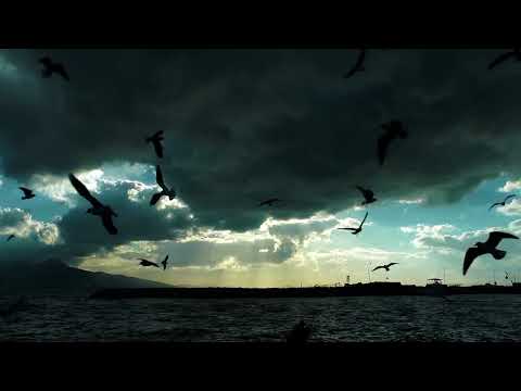 Видео: RedFlame - Не забывается