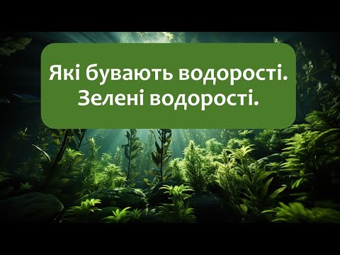 Видео: Біологія 7 клас (Балан). §13 Які бувають водорості. Зелені водорості