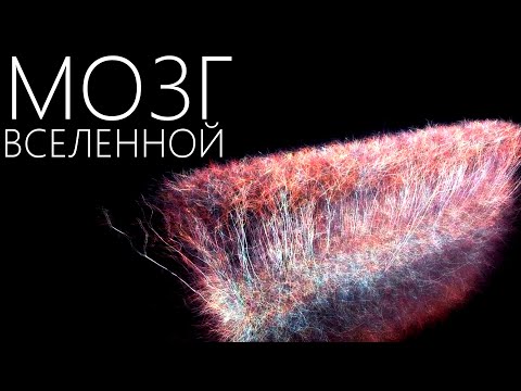 Видео: ВСЕЛЕННАЯ КАК НЕЙРОСЕТЬ [Может ли у Вселенной быть сознание?]