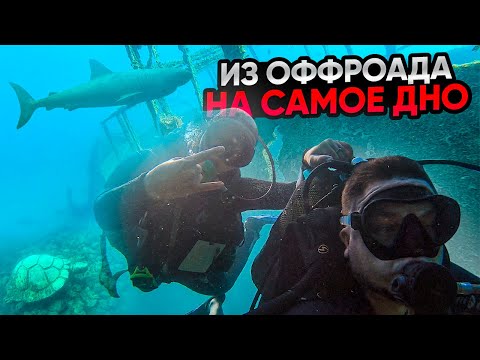 Видео: Дайвинг в Черном море| Музей под водой| Затонувший корабль| Какие сложности при первом погружении?