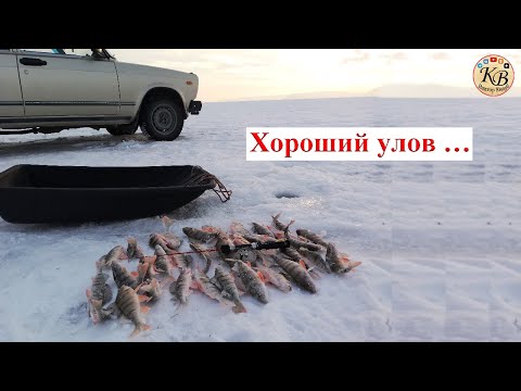 Видео: ЛОВЛЯ ОКУНЯ! Рыбалка в суровых погодных условиях на водохранилище!