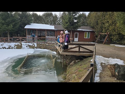 Видео: СХІДНИЦЯ 22.02.25 Прогулка лісом. Форельник.  18 джерело. 3 та 1 джерело 💦