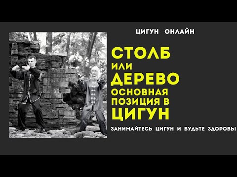 Видео: Основная позиция в ЦИГУН - Столб или Дерево | Начальная работа с Даньтянями