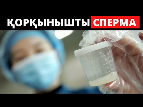 Видео: Ең жақсы Ұрық қандай болу керек?  Еркектің ұрығын күшейту.