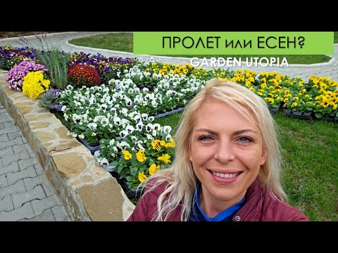 Видео: 600 ТЕМЕНУЖКИ в двора на КЪЩА за ГОСТИ: #Ден 42 от 90 ДНИ НА СЕЛО