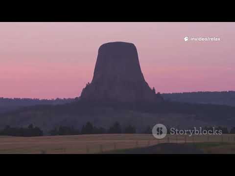 Видео: Тайны гигантских деревьев: История и факты#история#наука#мистика#history 