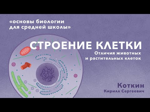 Видео: 4 Строение клетки. Отличия животных и растительных клеток