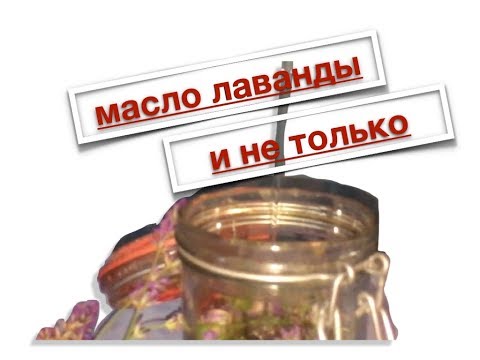 Видео: 🌞 Лаванда. Как сделать масло.🥖🍮💃🥘