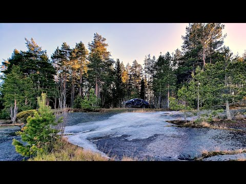 Видео: Северный лес. В поисках троллей и кирпичей