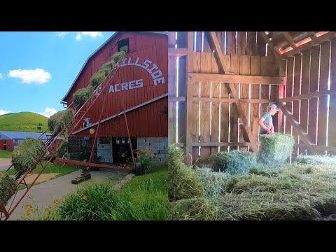 Видео: Укладка небольших квадратных тюков l Укладка сена 2022