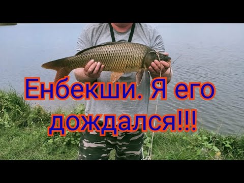 Видео: Рыбалка близ Алматы. Енбекши.    Сазан, белый амур. Стаканы рулят!!!