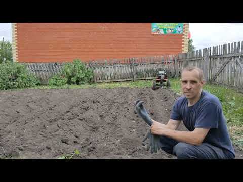 Видео: Доработанный способ посадки картофеля мотоблоком Ока. Сезон 2023
