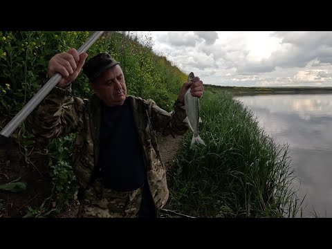 Видео: Донки с берега. Капризный Дон.