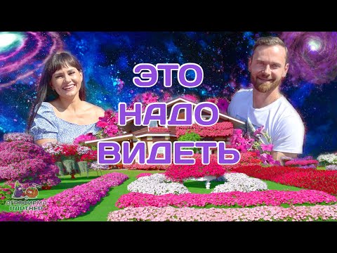 Видео: Сад мечты | Это надо видеть! | #петуния #дача