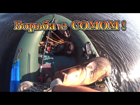Видео: Рыбалка на КВОК. 32 кг ДУРИ 😲! ( Без купюр и редактирования.)