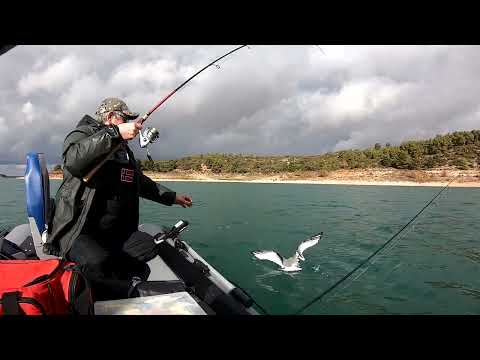 Видео: Нежданный трофей,весёлый случай на рыбалке -))