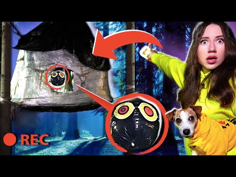 Видео: ВОЗВРАЩЕНИЕ В ДОМ ИЗ ПЛЕНКИ НА ДЕРЕВЕ 👻 | Элли Ди