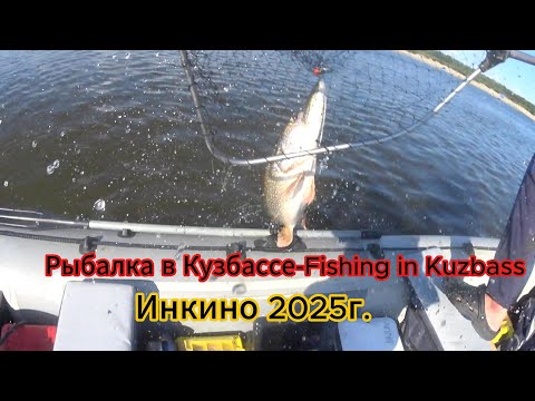 Видео: Рыбалка на реке Обь в Инкино 2025г.