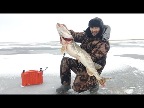 Видео: рыбалка Костанай,28.12.23 сезон закрыли