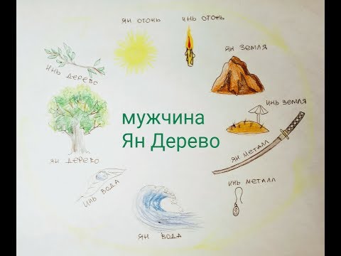 Видео: Мужчина Ян Дерево