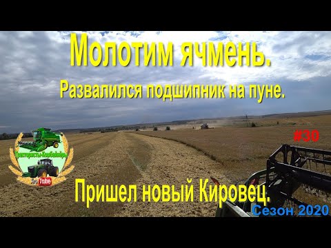Видео: Молотим ячмень  Развалился подшипник на измельчителе  Пришел новый Кировец