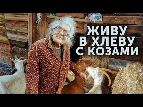 Видео: ШОК! 85-ЛЕТНЯЯ БАБУШКА ЖИВЕТ В ХЛЕВУ С КОЗАМИ! БЫЛА УЧЁНОЙ-СТАЛА БОМЖОМ!